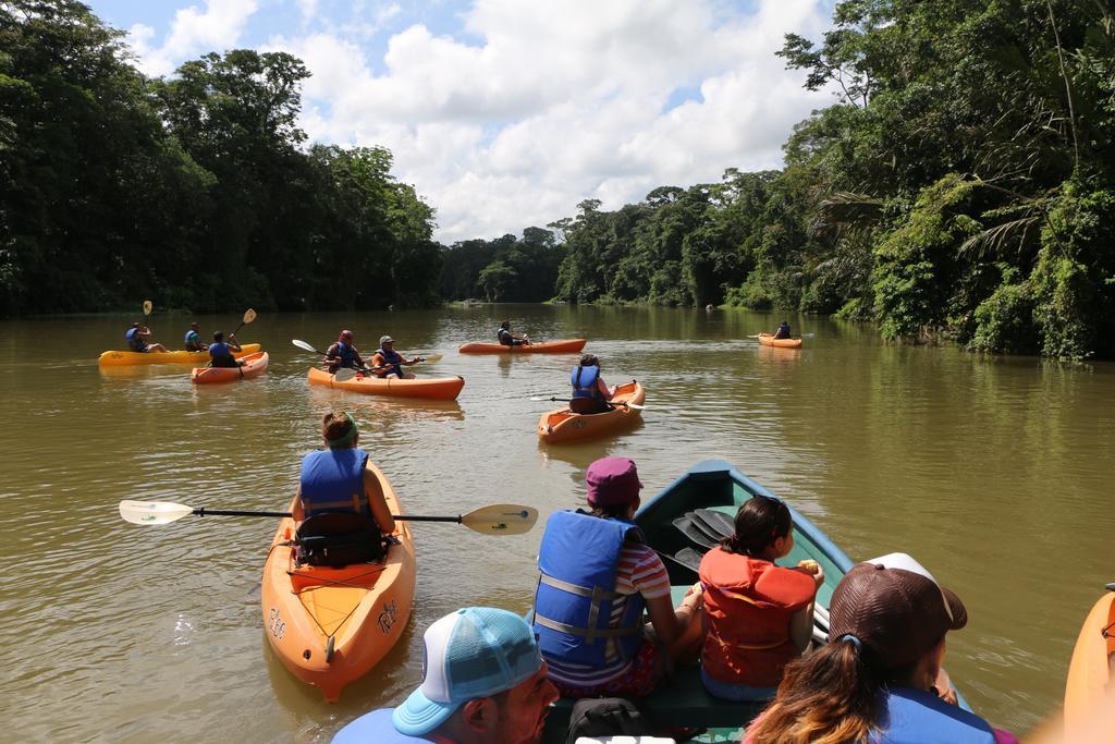 Tortuguero Adventures Guesthouse Luaran gambar