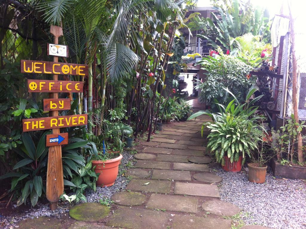 Tortuguero Adventures Guesthouse Luaran gambar